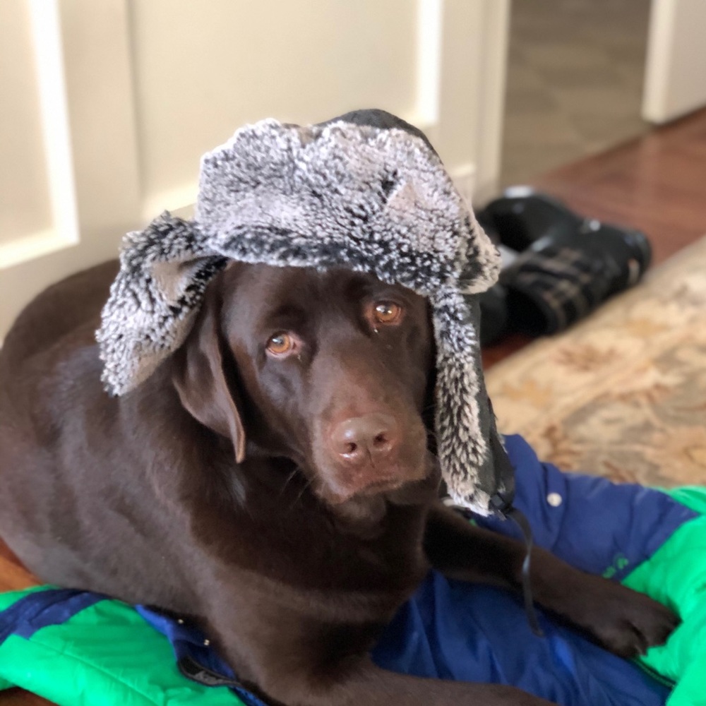 Meet your Posher, Avery